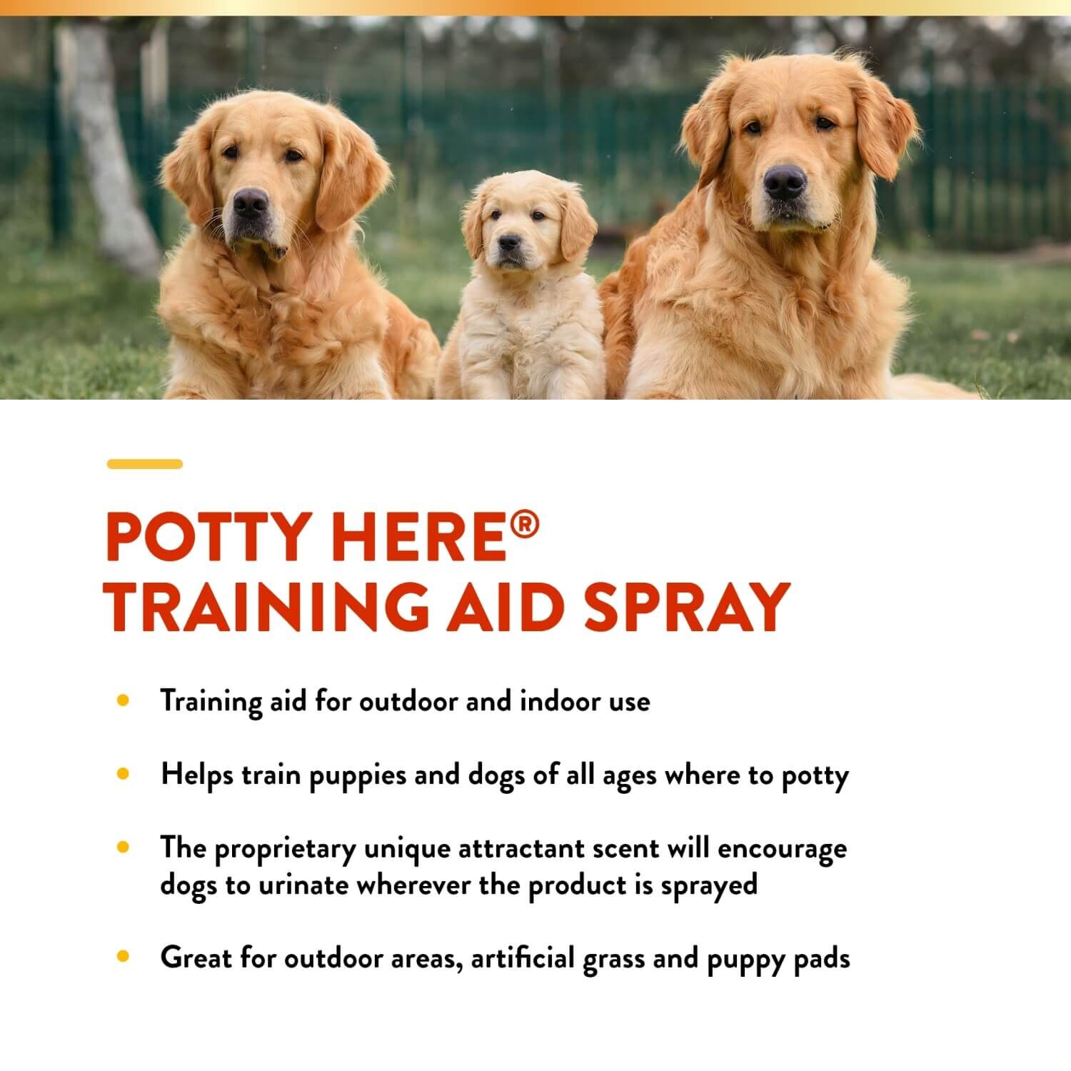 Naturvet Potty Here Dog Training Aid