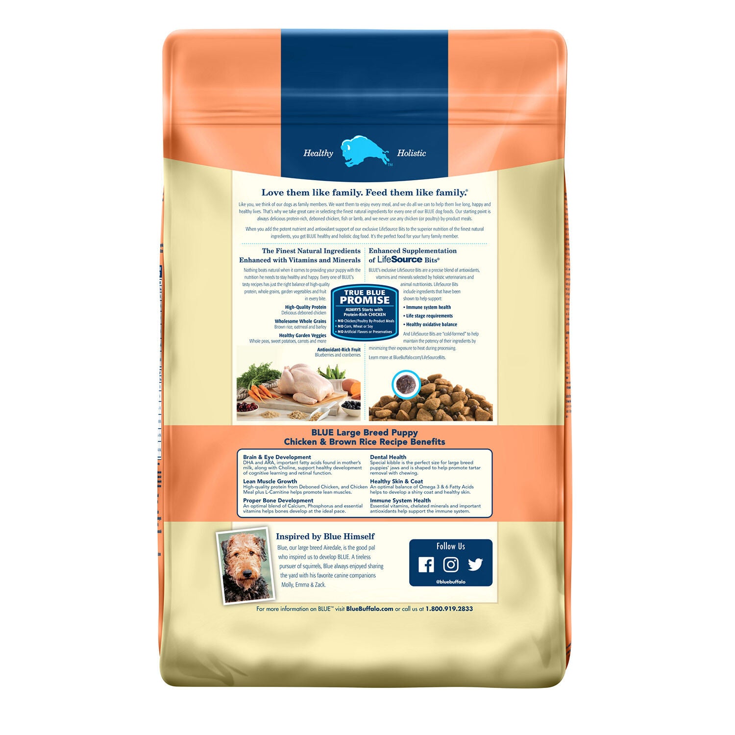 Blue Buffalo Life Protection Chicken & Brown Rice Large Breed Puppy Dog Food