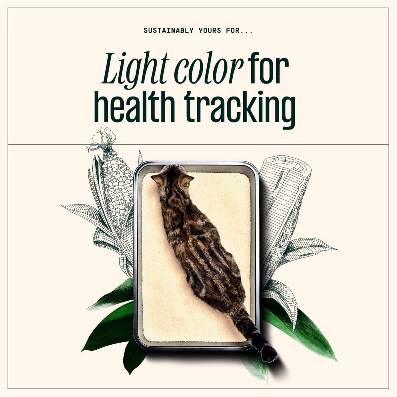 Sustainably Yours Large Grain Minimal Tracking Cat Litter