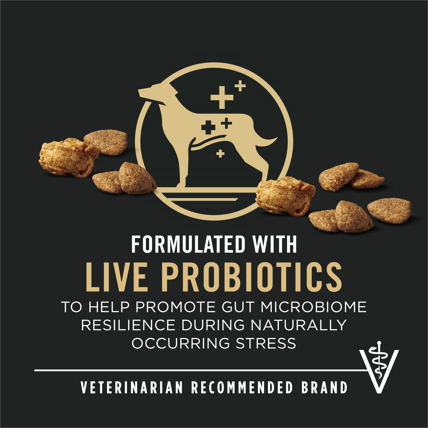 Purina Pro Plan Complete Essentials Shredded Blend Turkey & Rice With Probiotics Adult Formula Dry Dog Food, 33 Lb