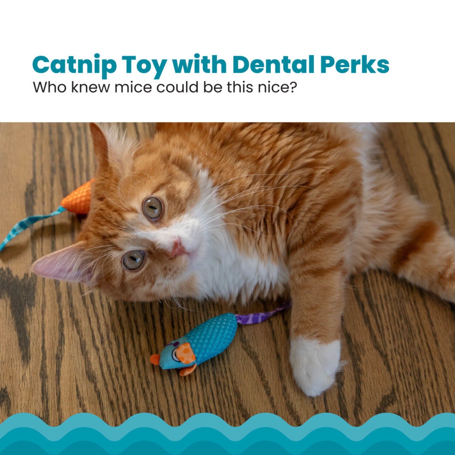 Catstages Catnip Dental Chews Mice Cat Toys - Multipack