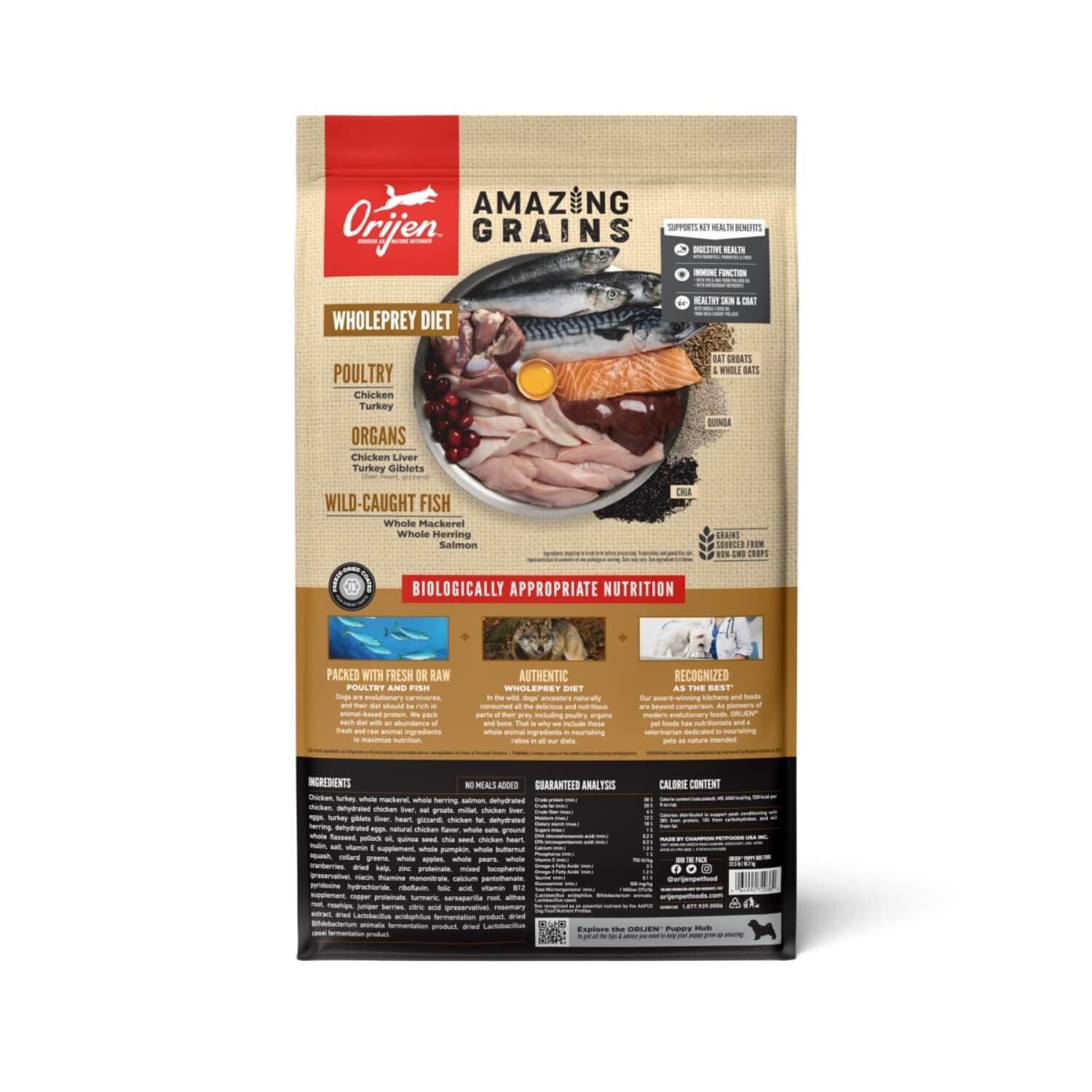 Orijen Amazing Grains High Protein Dry Puppy Food