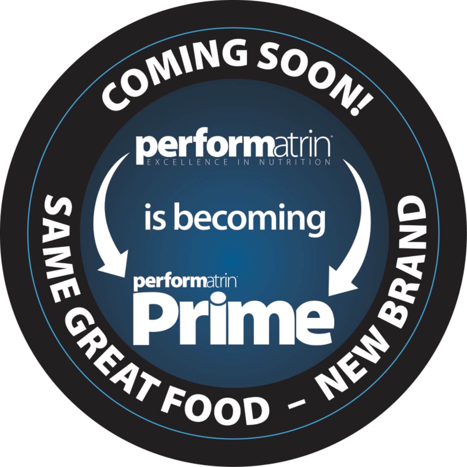 Performatrin Healthy Weight Adult Large Breed Dog Food