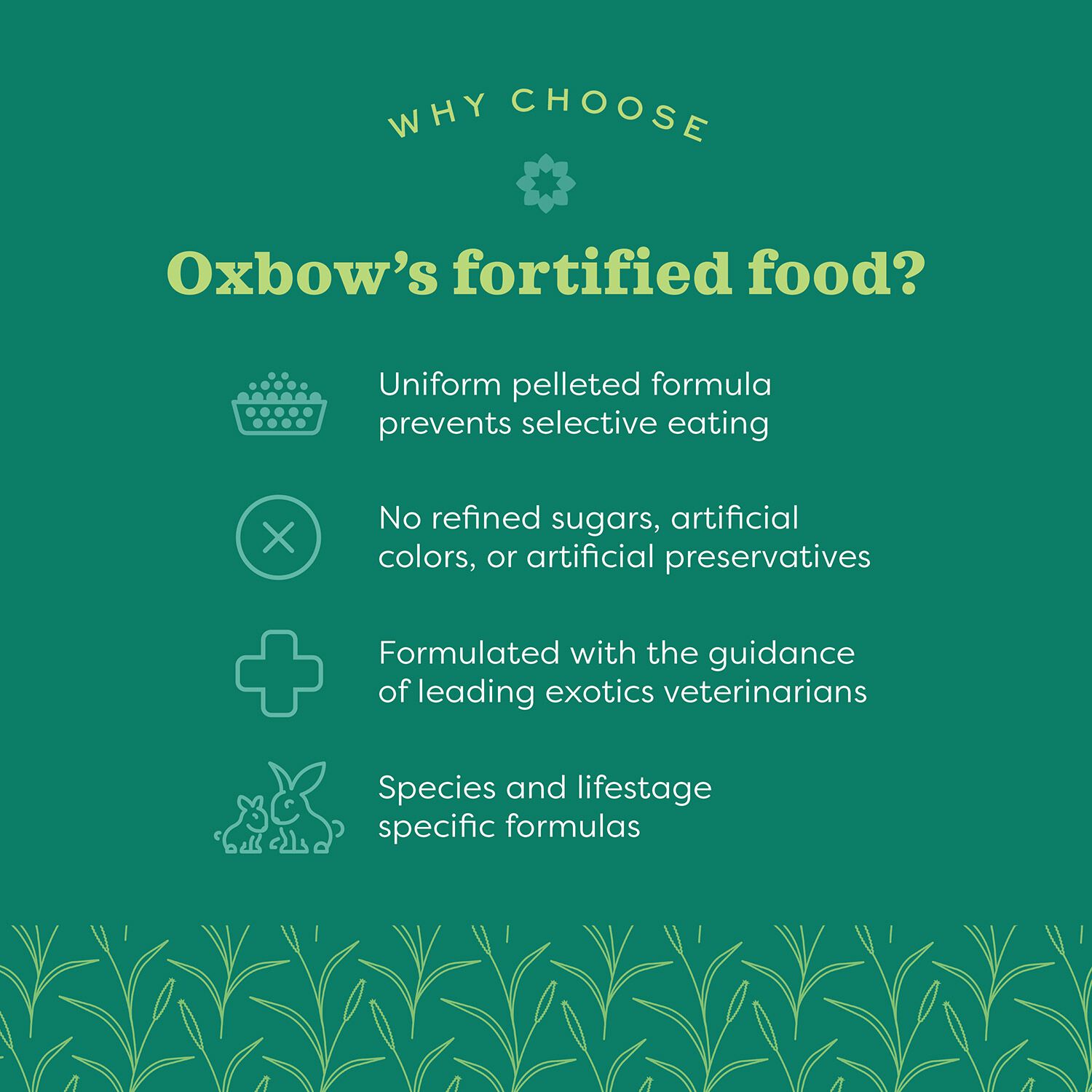 Oxbow Essentials Senior Rabbit Food