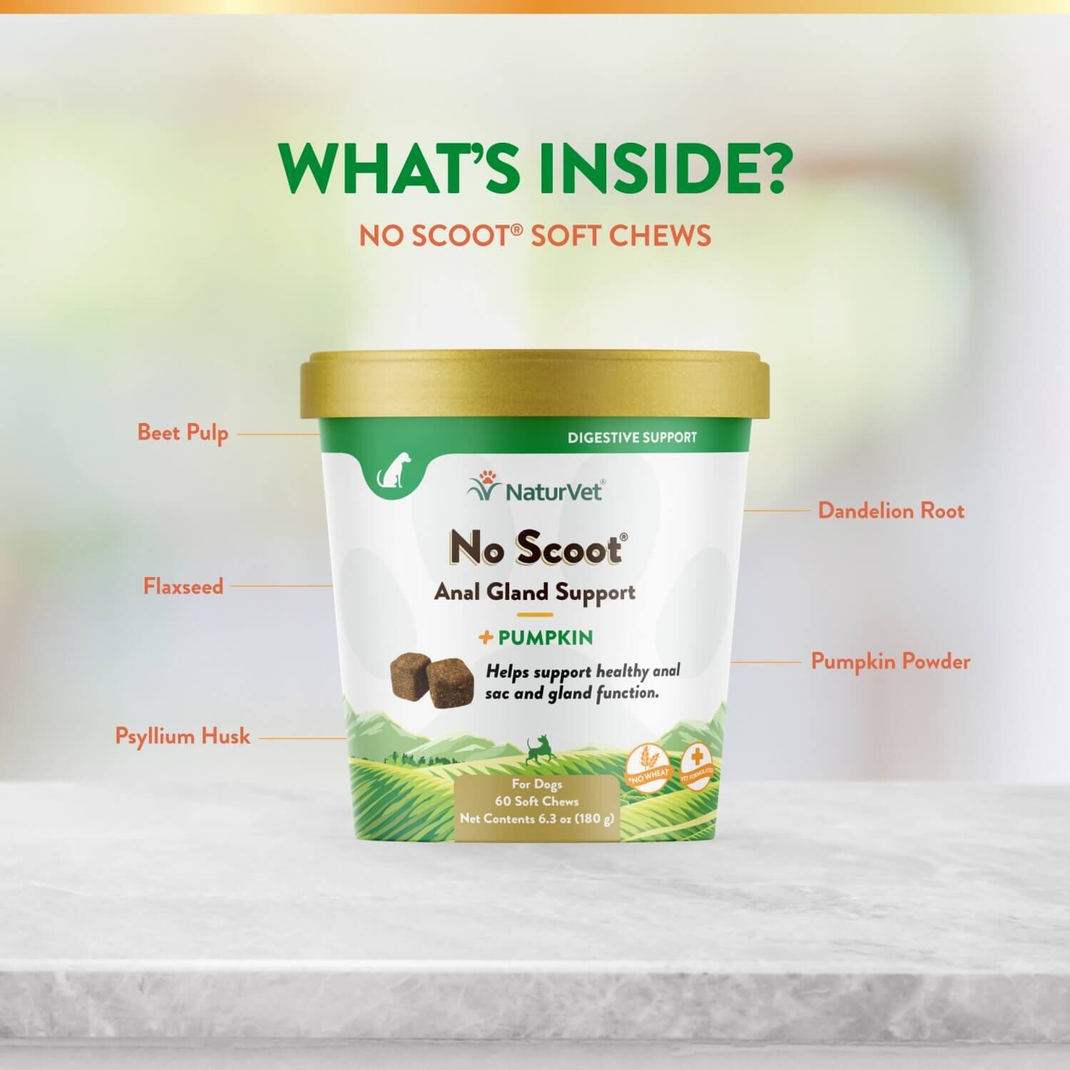 Naturvet No Scoot Anal Gland Support + Pumpkin Soft Chew Supplements For Dogs