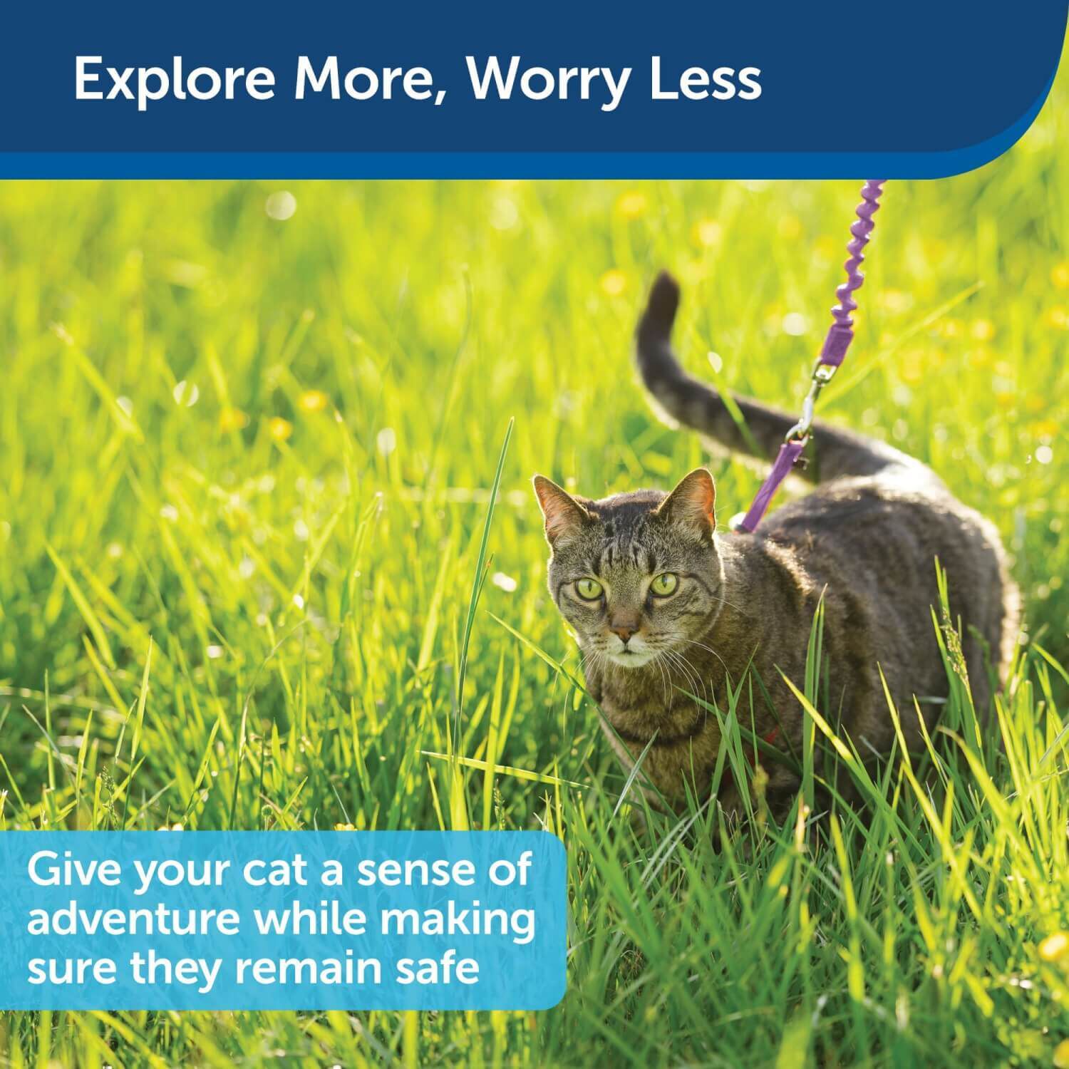 Petsafe Come With Me Kitty Harness And Bungee Cat Leash, Lilac/Deep Purple
