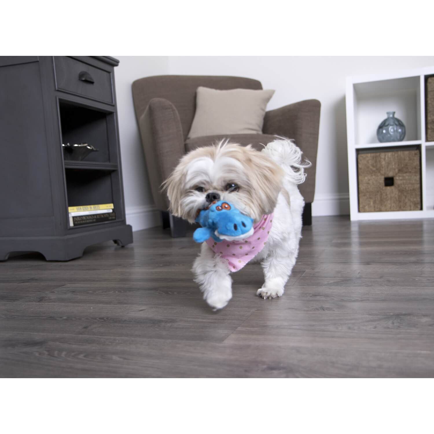 Godog Just For Me Gators Squeaky Plush Dog Toy - Blue Mini
