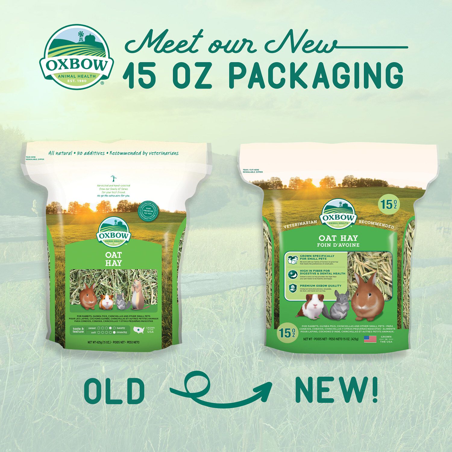 Oxbow Oat Hay For Small Animals