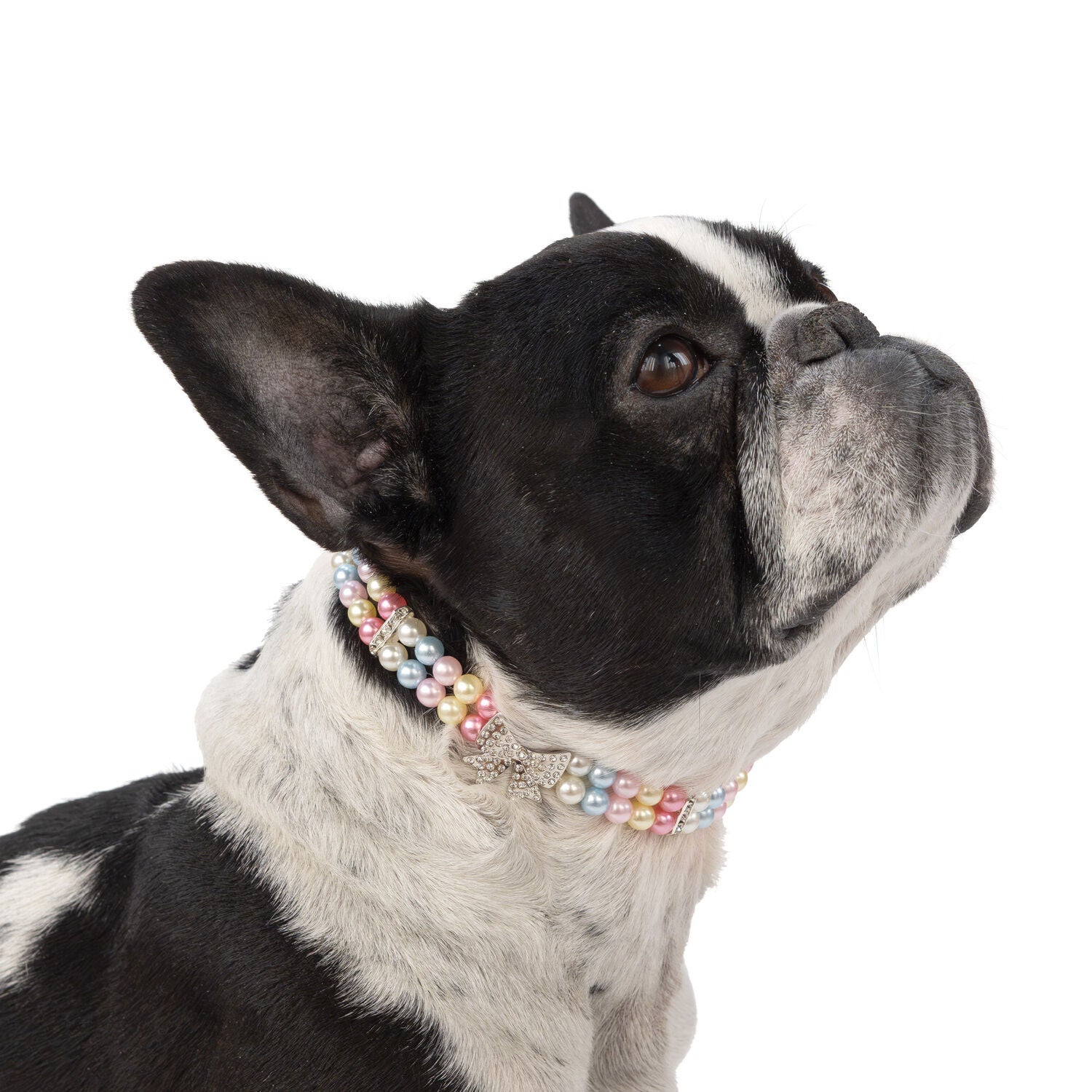 Simply Dog Pastel Beads & Bow Dog Necklace