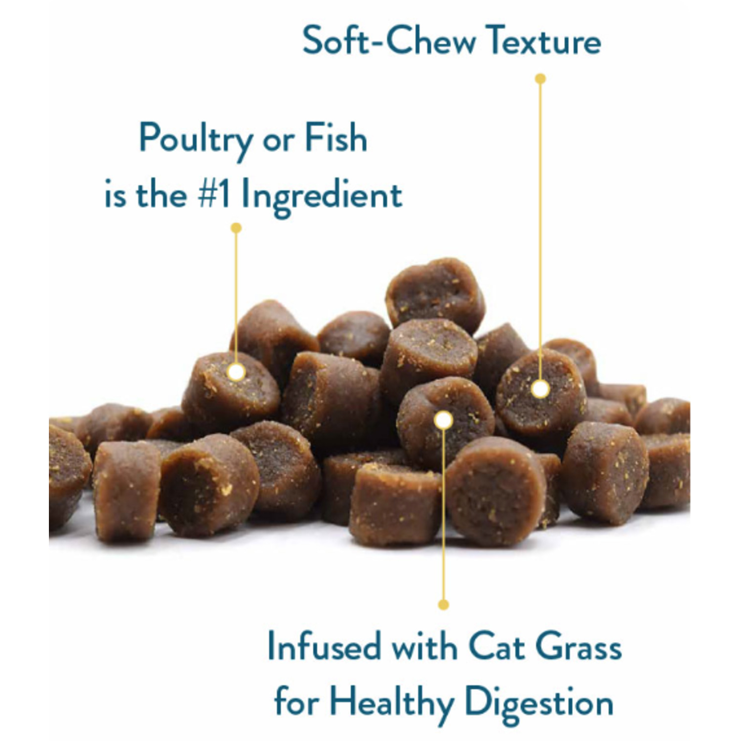 Pet Greens Cat Craves Salmon All Natural Soft & Chewy Cat Treats