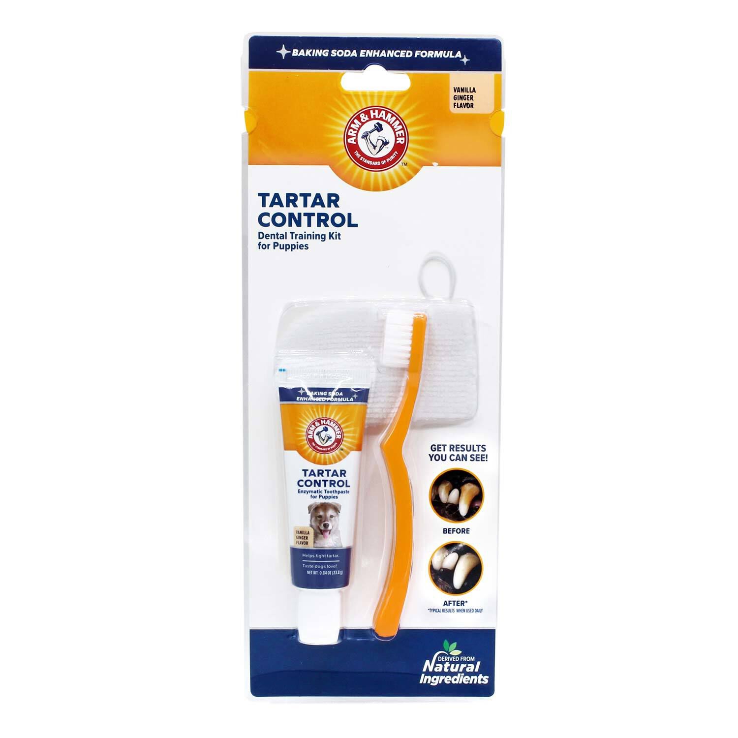 Arm & Hammer Tartar Control Dental Training Kit For Puppies - Vanilla Ginger