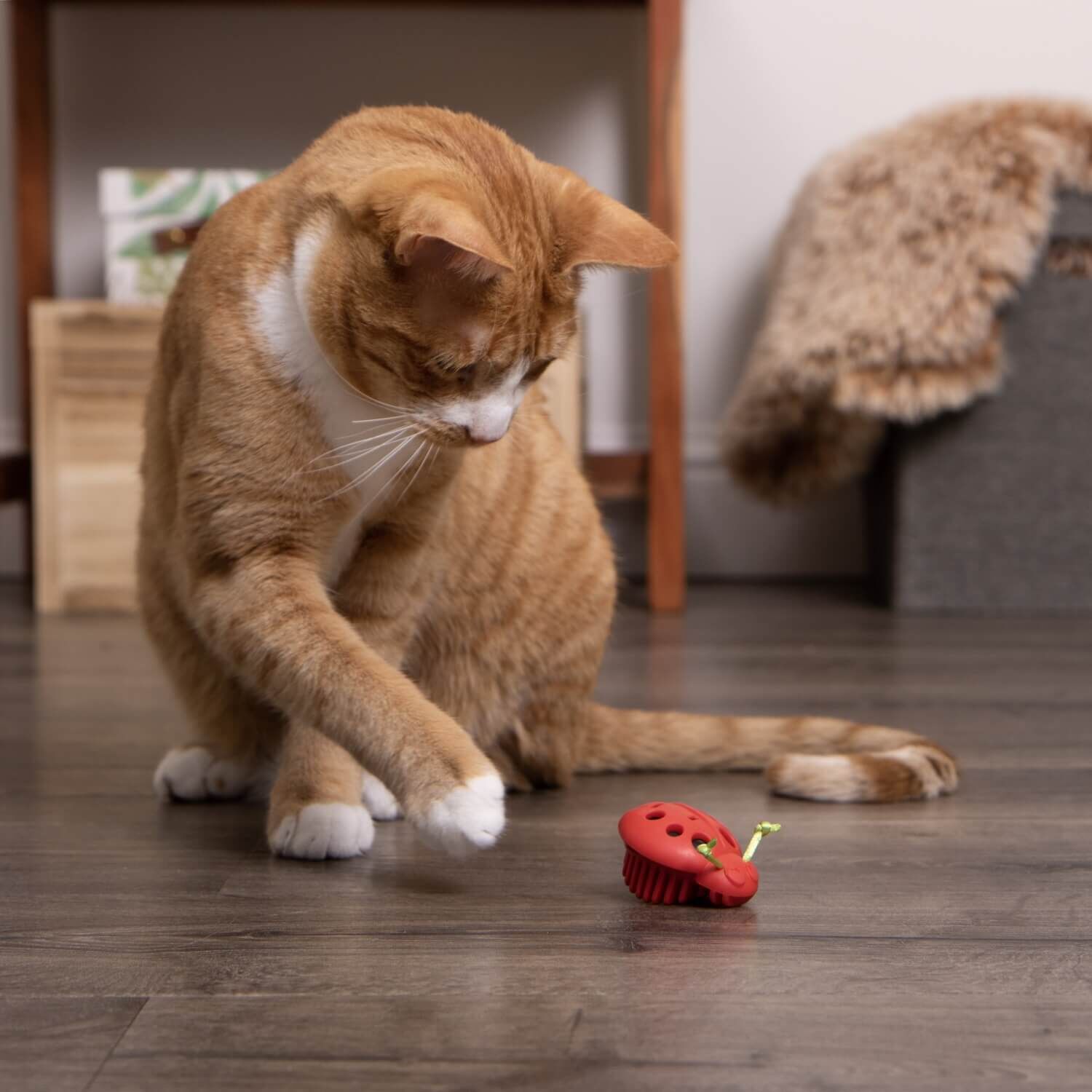 Instincts By Smartykat&reg; Rowdy Rumbler Ladybug Electronic Motion Cat Toy, Battery Powered