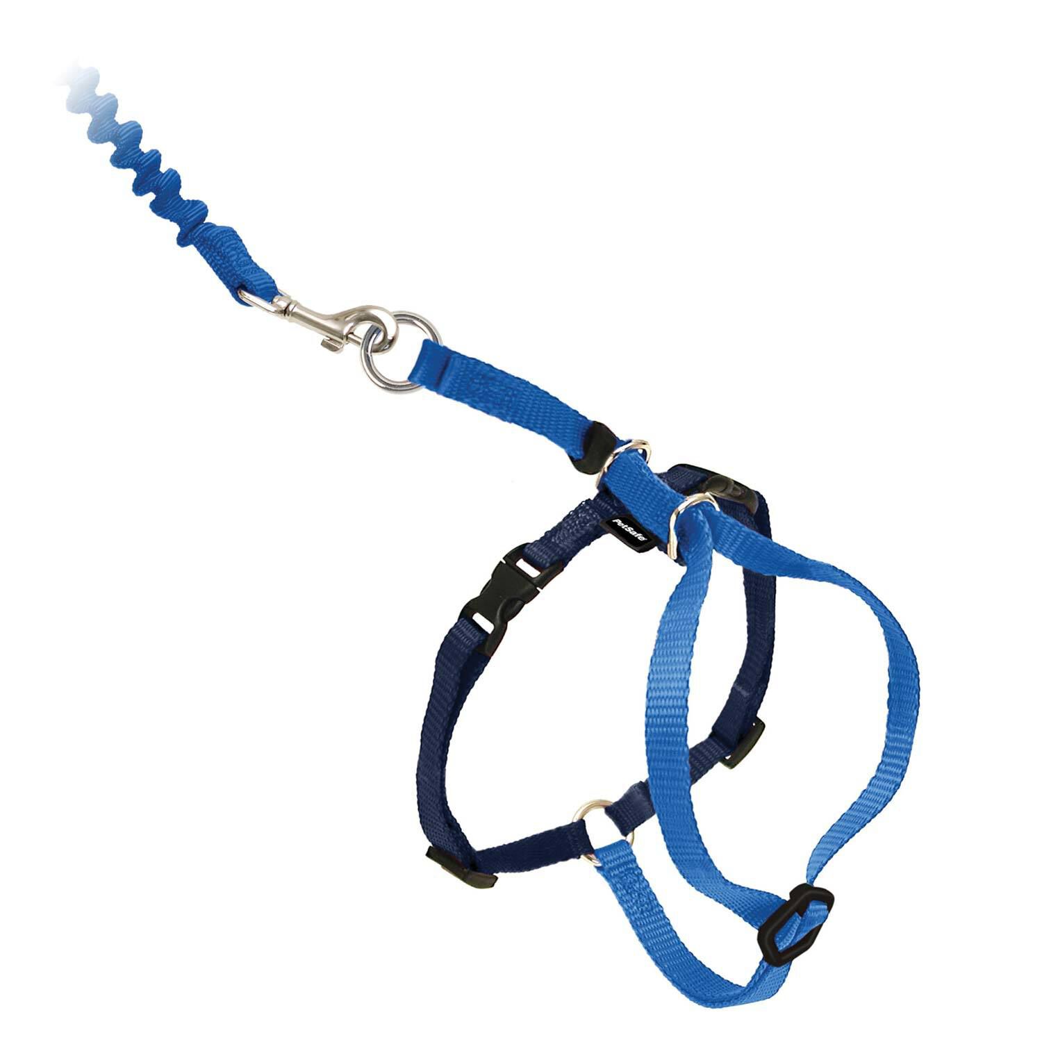 Petsafe&reg; Come With Me Kitty&trade; Cat Harness And Bungee Leash, Blue