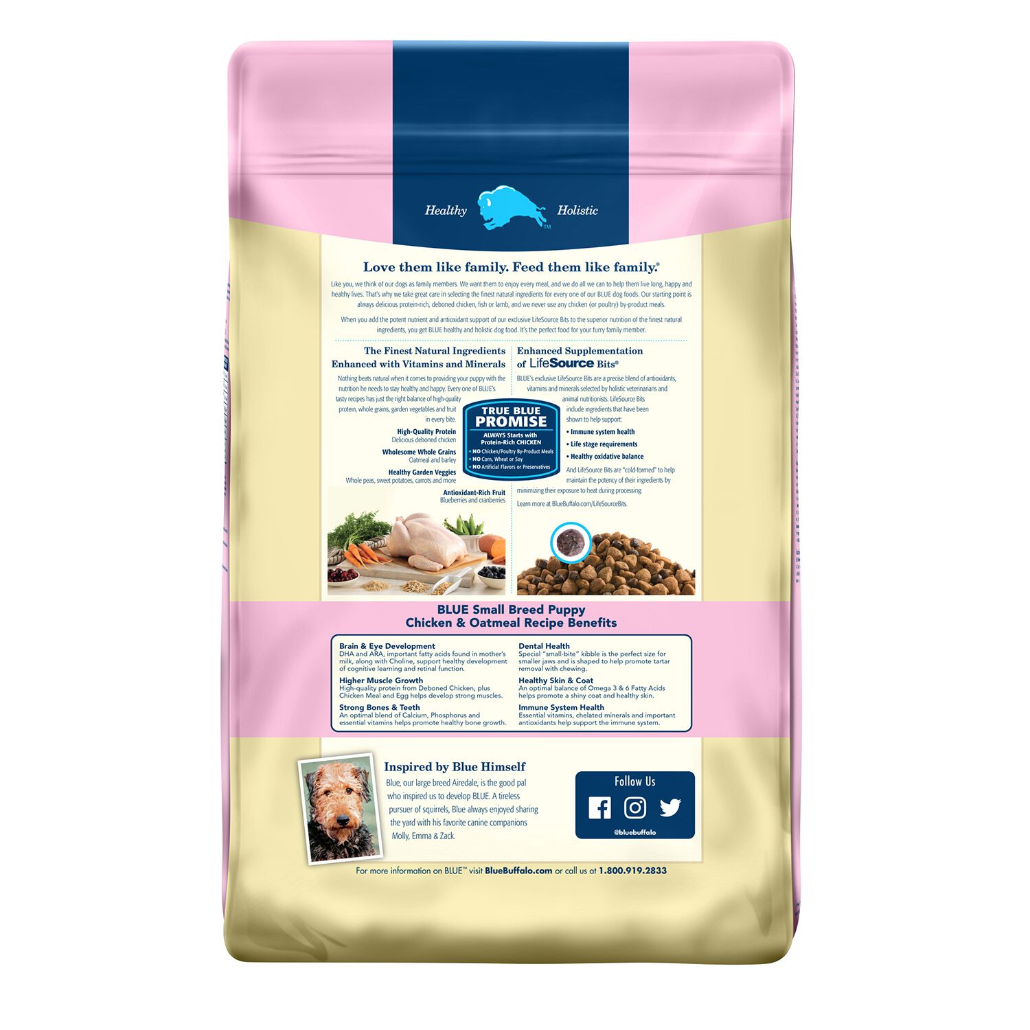 Blue Buffalo Life Protection Formula Small Breed Chicken & Oatmeal Recipe Puppy Dog Food
