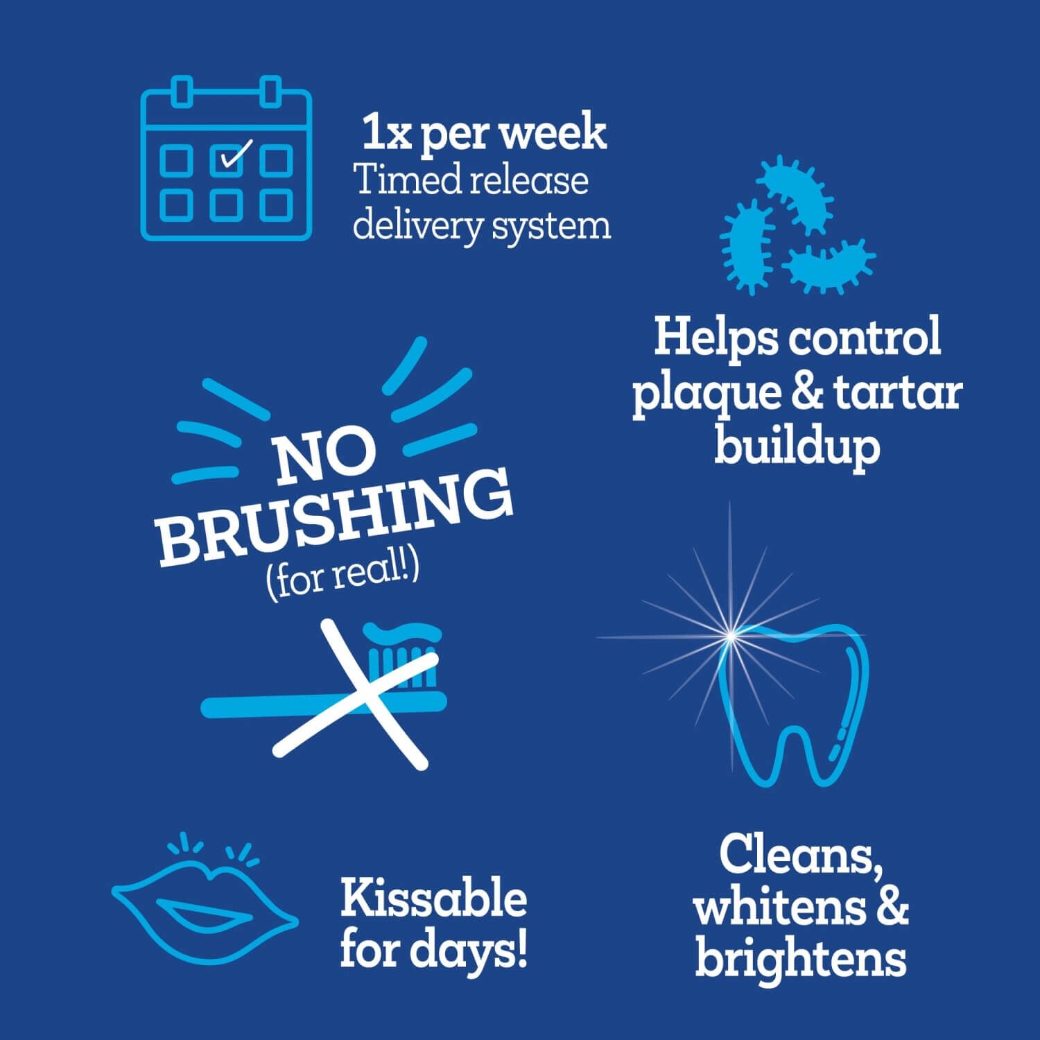 Vetality Brush-Free Oral Gel Dental Care For Cats