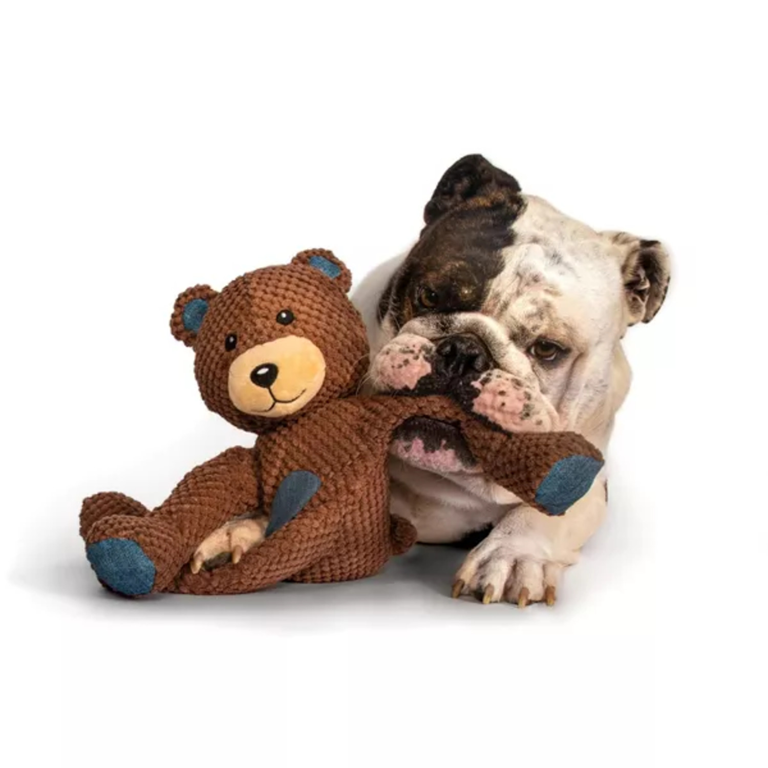Fabdog Floppy Honey Bear Plush Squeaky Dog Toy, 12"