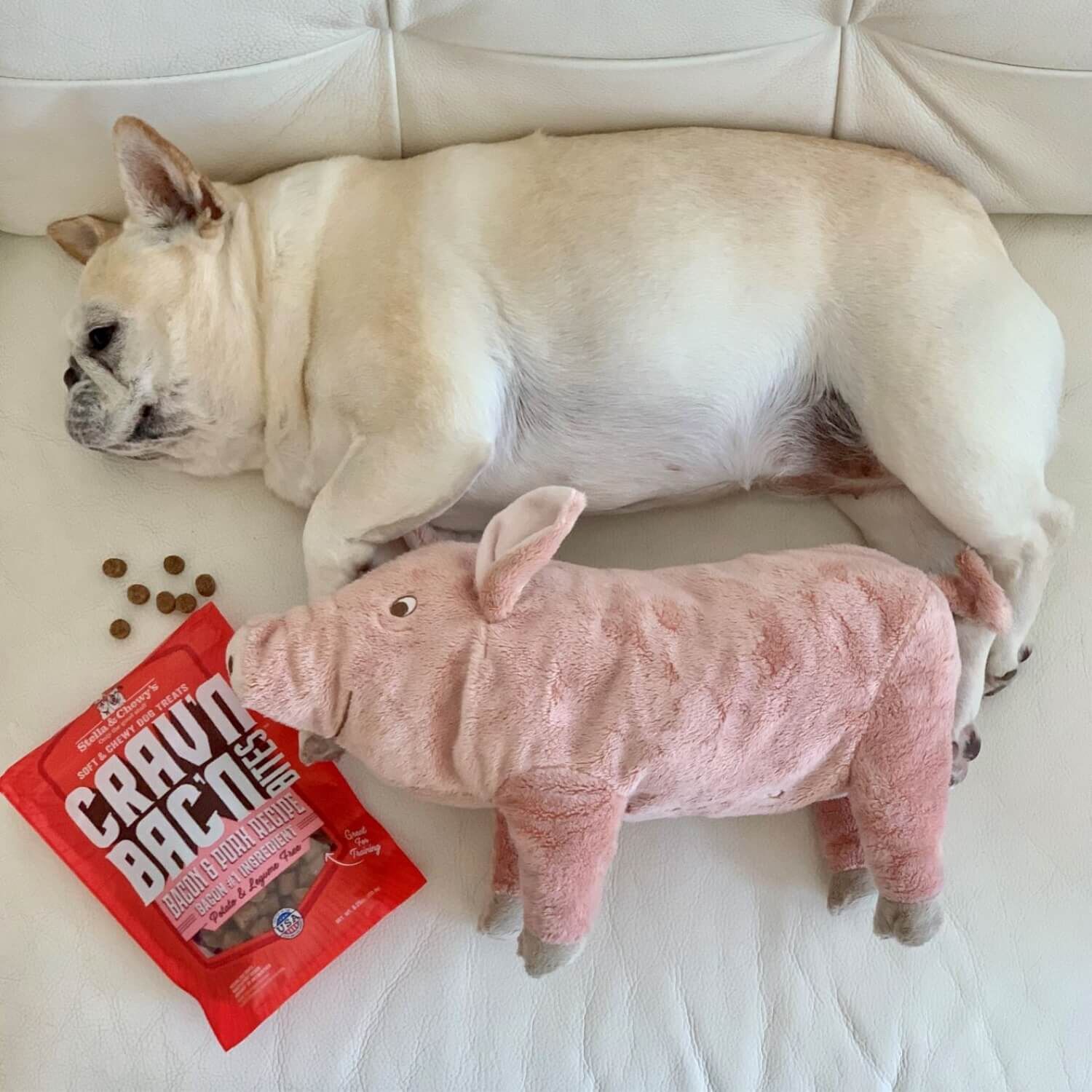 Stella & Chewy's Crav'n Bac'n Bites Bacon & Pork Recipe Dog Treats