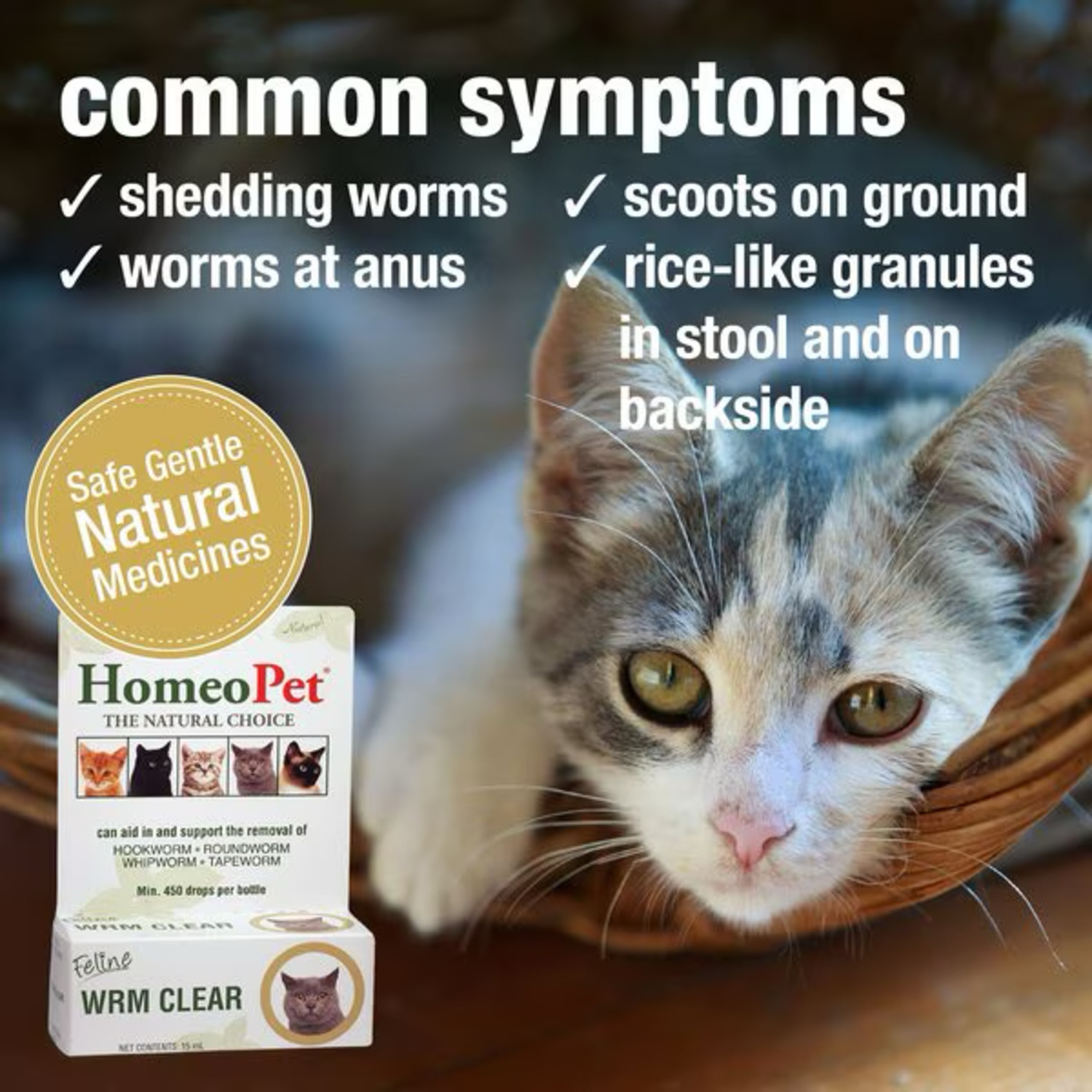Homeopet Feline Wrm Clear Cat Deworming Aid, 15 Ml