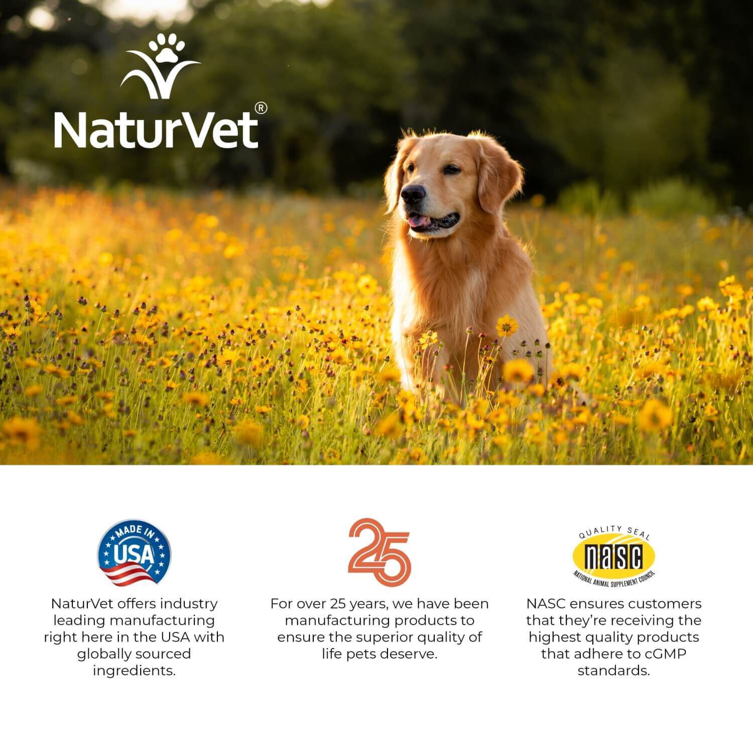 Naturvet Aller-911 Allergy Aid Plus Antioxidants Soft Chews For Dogs