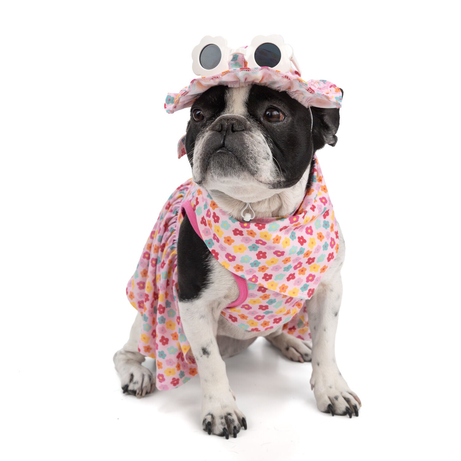 Simply Dog Floral Ruffle Dog Hat With Sunglasses