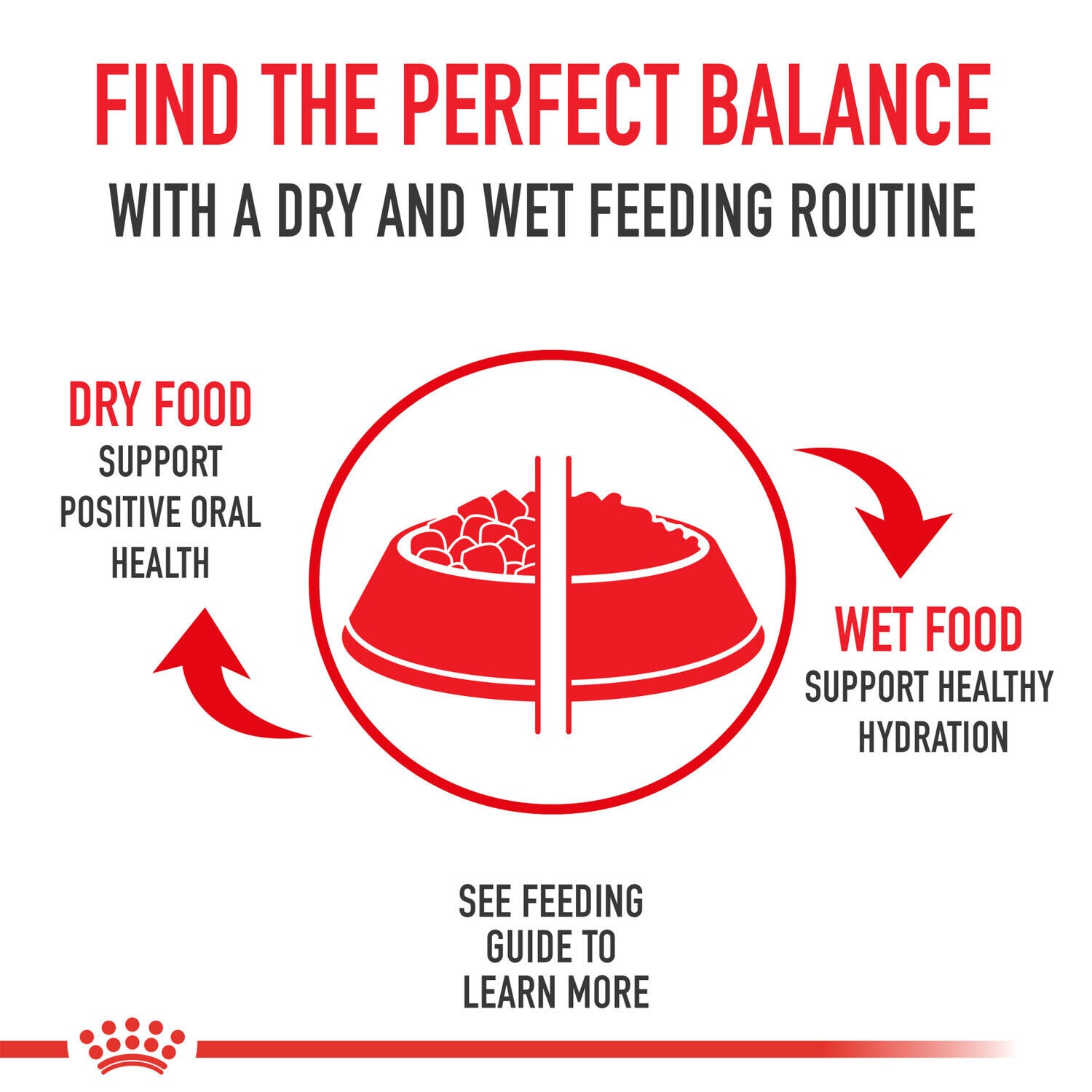 Royal Canin Canine Care Nutrition&trade; Digestive Care Loaf In Sauce Wet Dog Food, 13.5 Oz - Pack Of 12