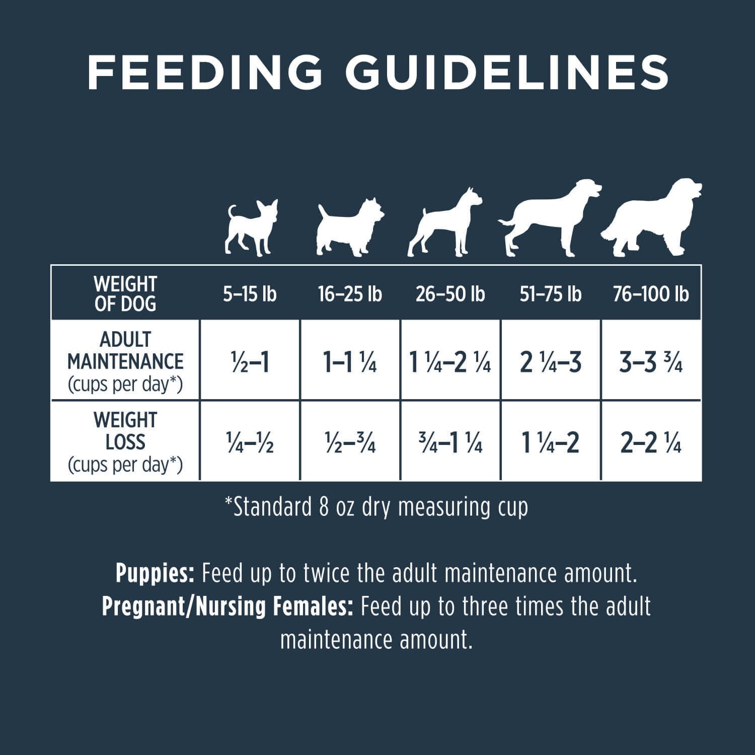 Instinct Raw Boost Grain-Free Recipe With Real Salmon Dry Dog Food, 19-Lb