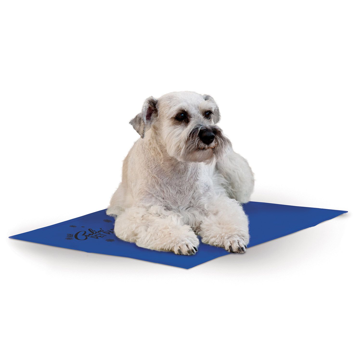 K&H Pet Products Coolin' Pet Pad Indoor Outdoor Cooling Dog Mat, Blue