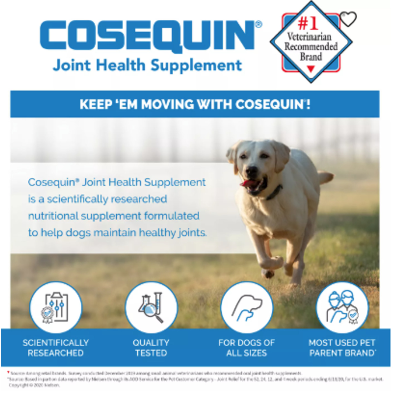 Cosequin Nutramax Ds Plus Msm Joint Health Supplement Soft Chews For Dogs