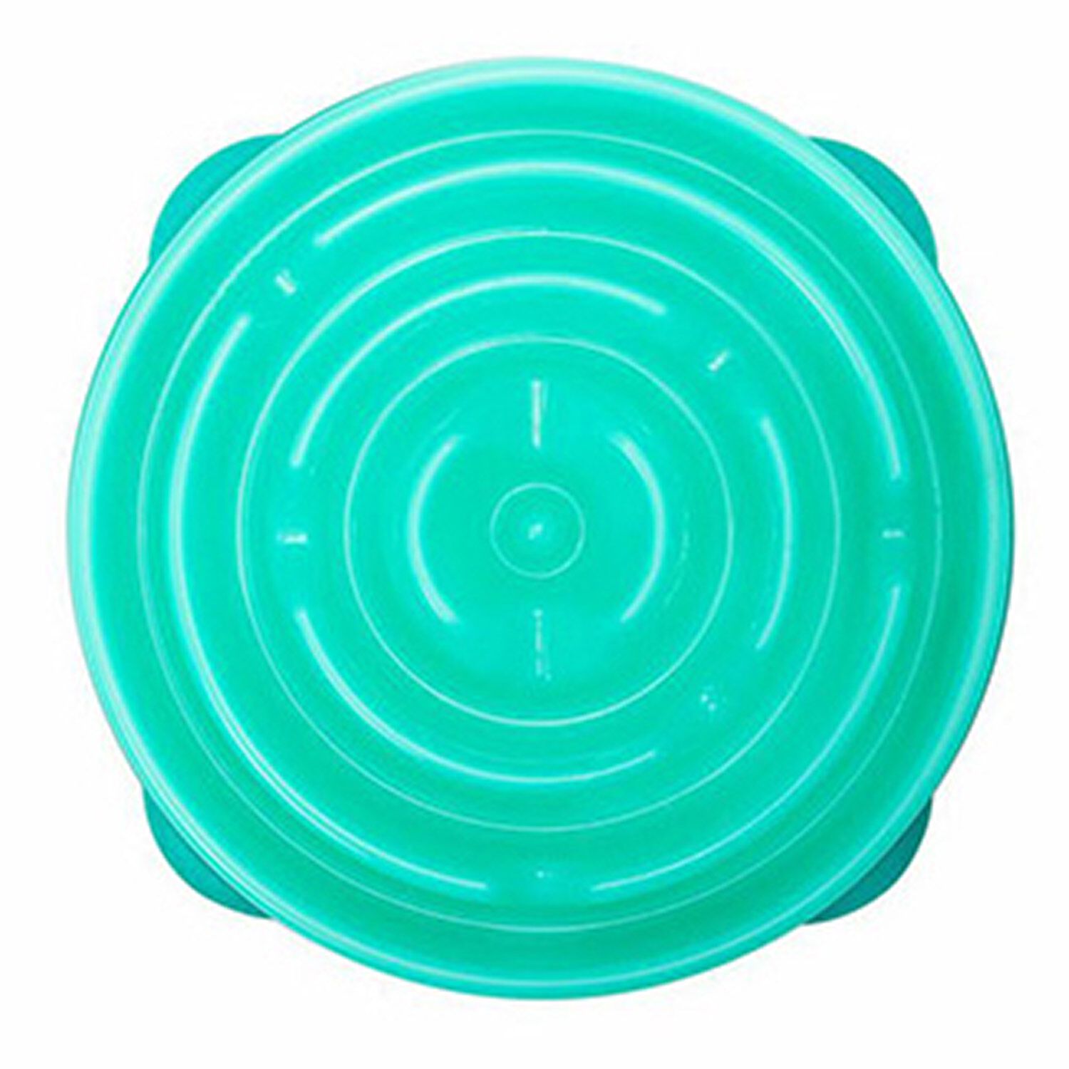 Outward Hound Slo-Bowl Slow Feeder Bowl, Teal
