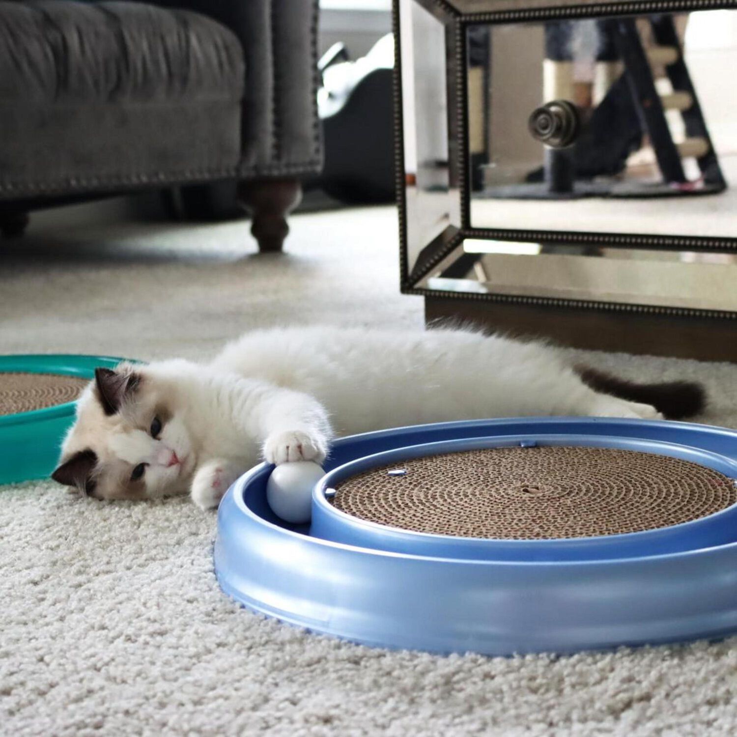 Bergan Turbo Scratcher Cat Toy, Assorted Colors