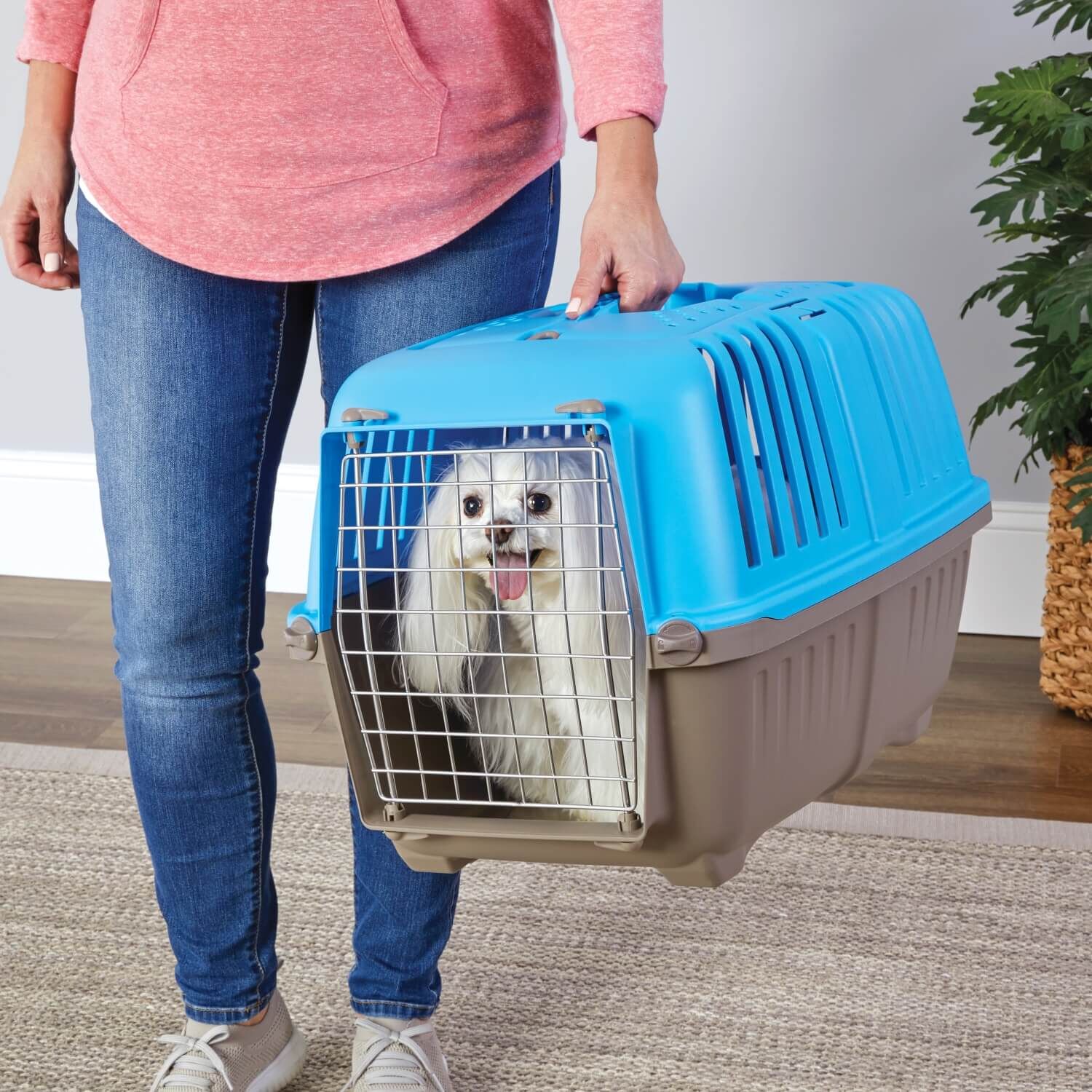 Midwest Spree Blue Plastic Hard-Sided Pet Carrier