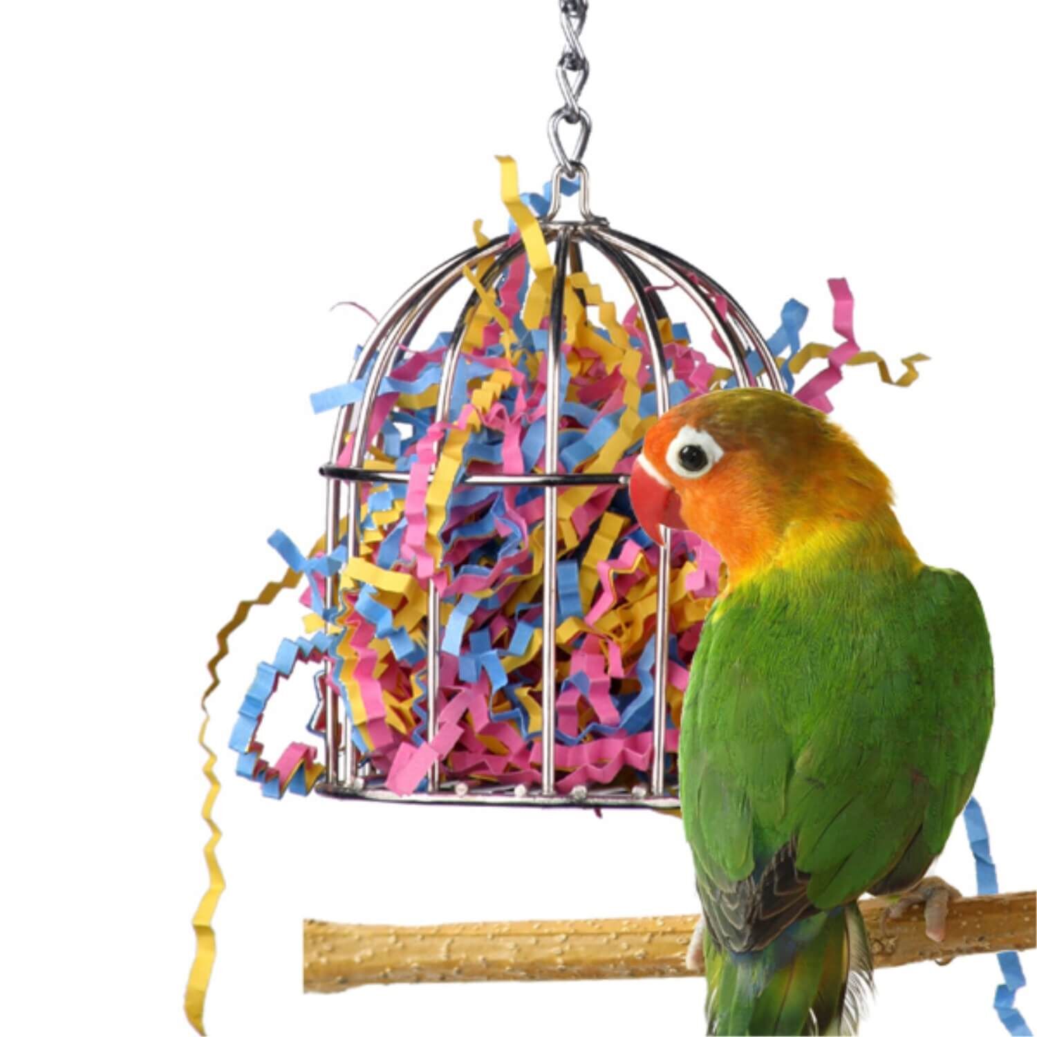 Super Bird Creations Mini Stainless-Steel Treat Cage