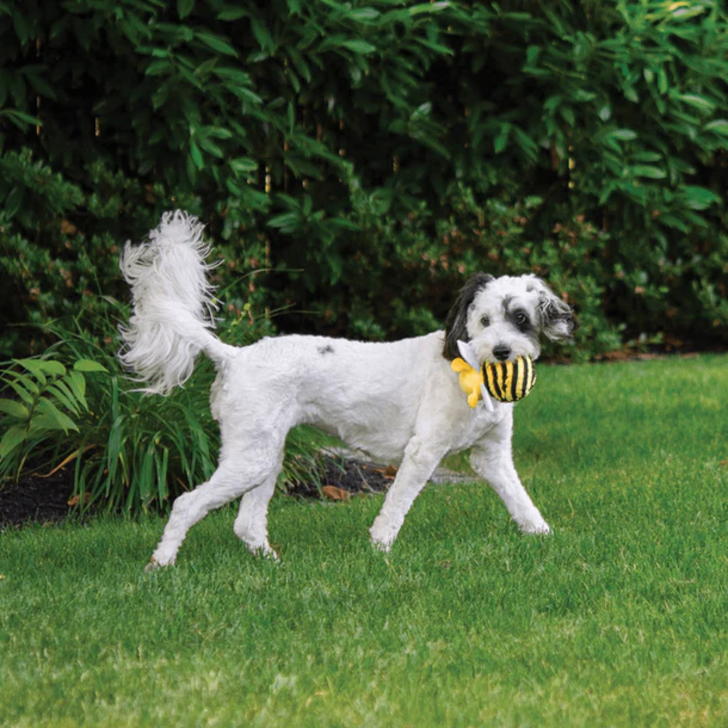 Fabdog Faball Plush Squeaky Bumblebee Ball Dog Toy, 3"