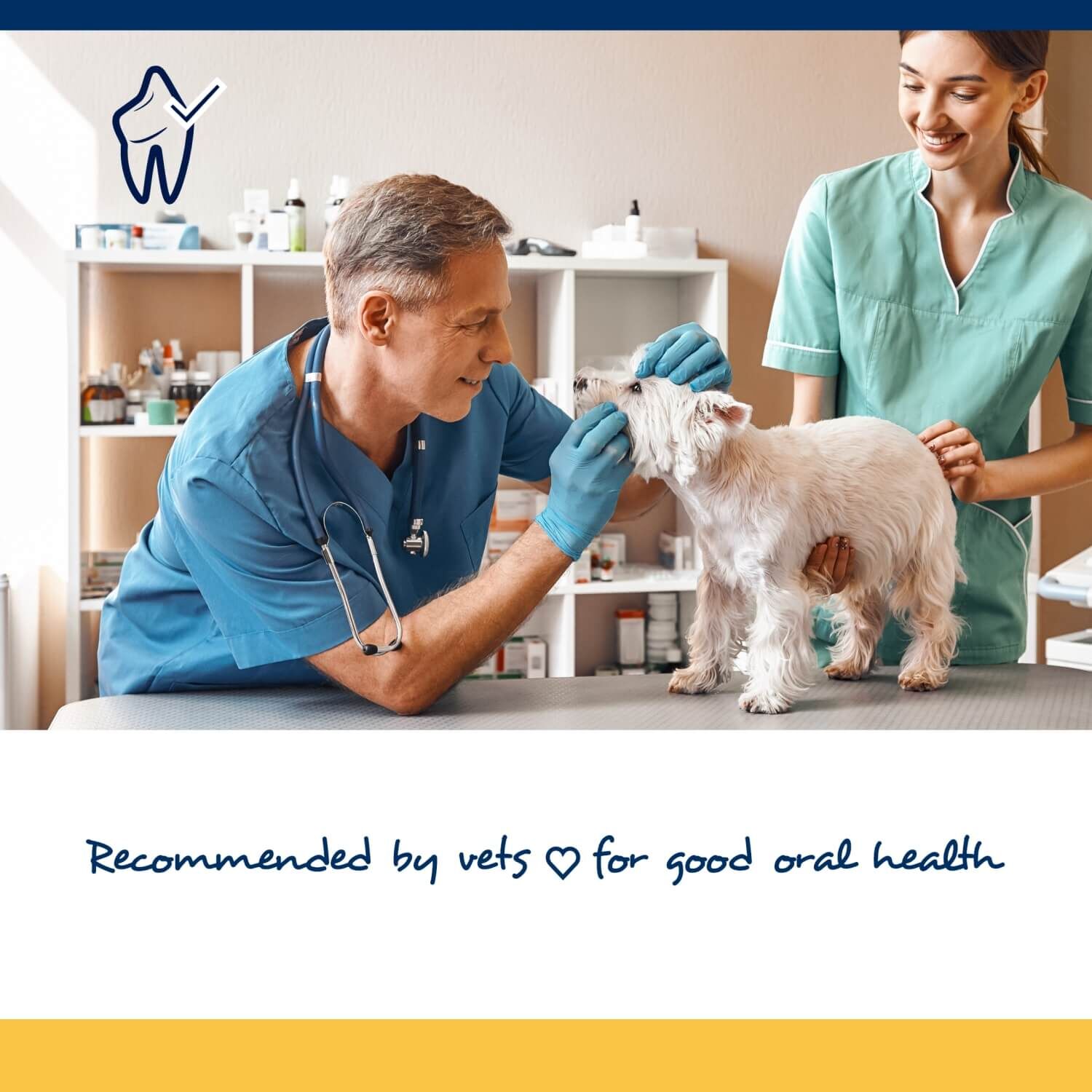 Proden Plaqueoff Dental Chews For Small To Medium Breed Dogs