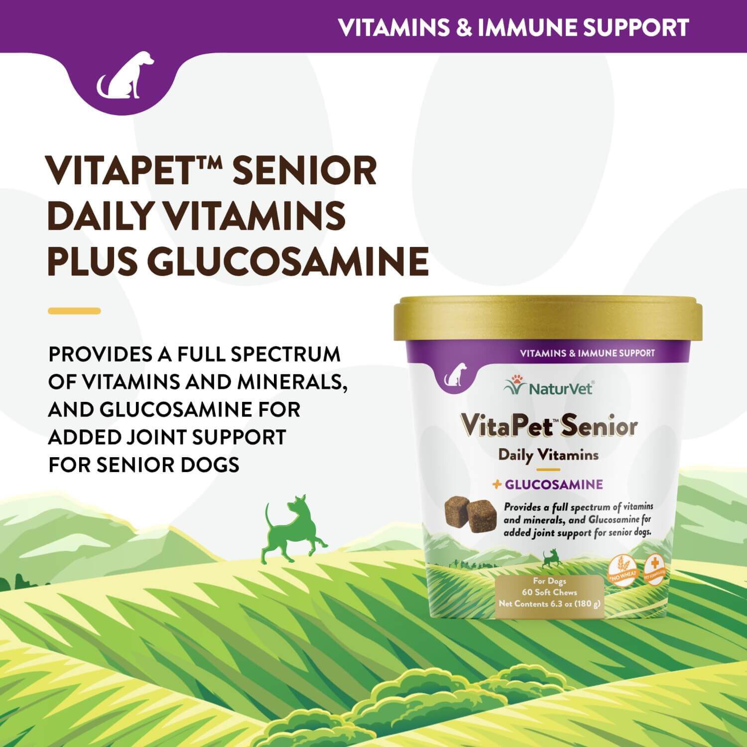 Naturvet Vitapet Senior Daily Vitamins Plus Glucosamine Soft Chews For Dogs