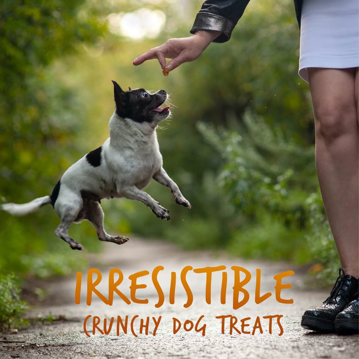 Fruitables Skinny Minis Grain Free Low Calorie Dog Treats, Pumpkin & Mango Flavor