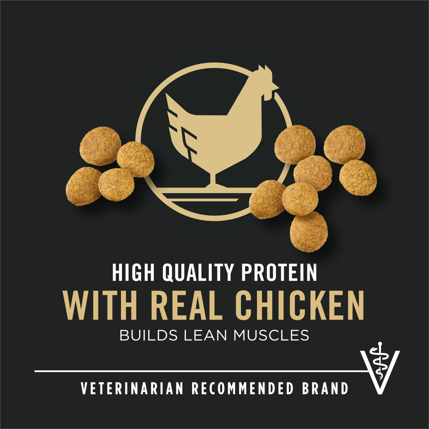 Purina Pro Plan Large Breed Puppy Dry Dog Food, Chicken And Rice Formula, 18Lb