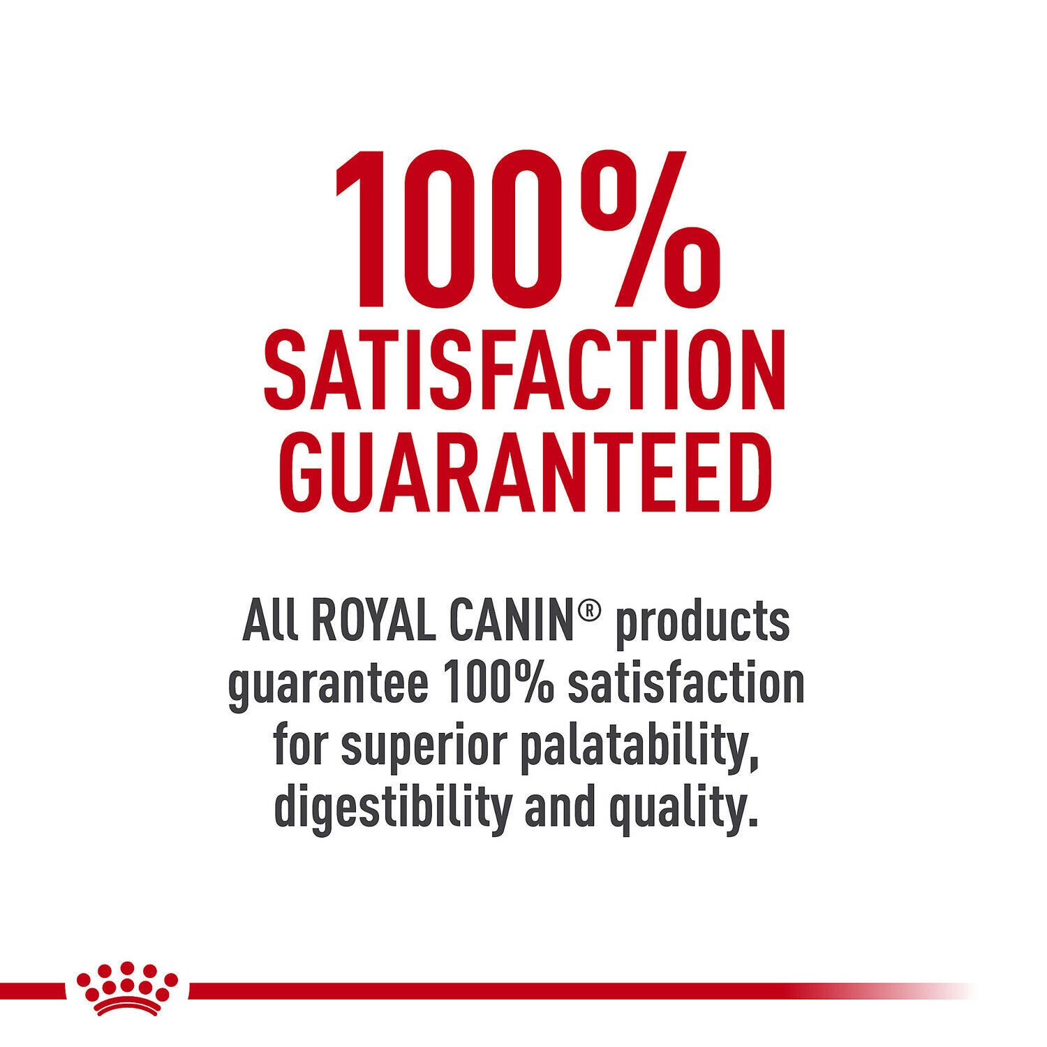 Royal Canin Canine Care Nutrition&trade; Digestive Care Loaf In Sauce Wet Dog Food, 13.5 Oz - Pack Of 12