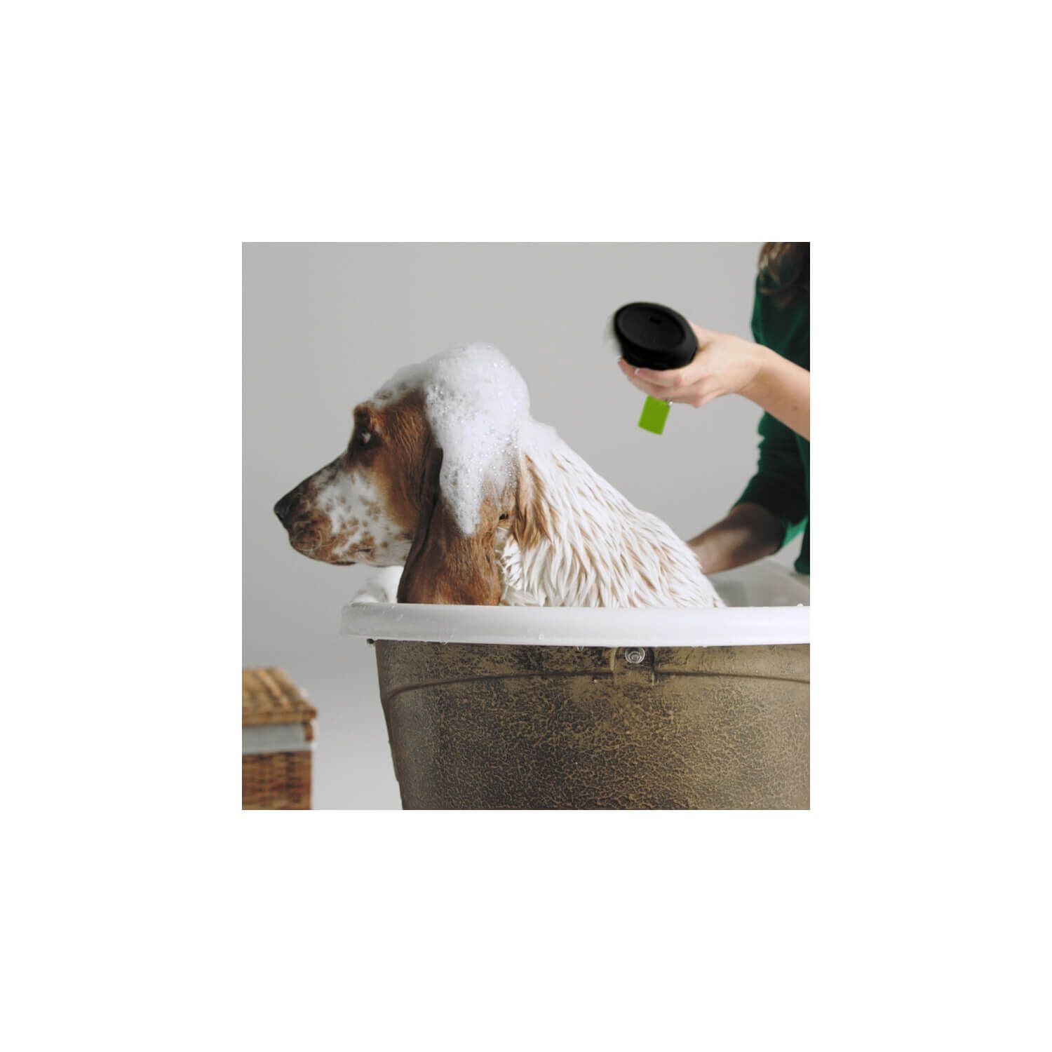 Furminator Deshedding Ultra Premium Shed Control Dog Shampoo, 16Oz