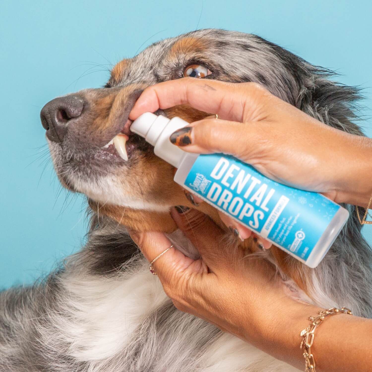 Skout's Honor Advanced Formula Dental Care Drops For Dogs & Cats