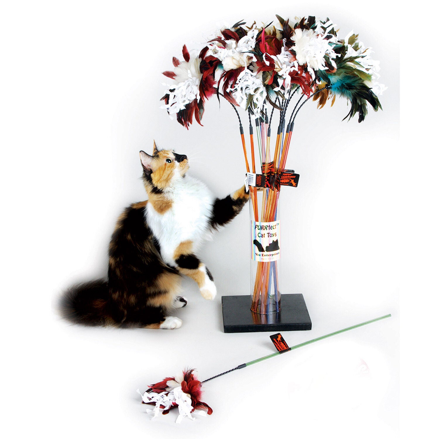Purrfect Pet Crinkle Bouncer