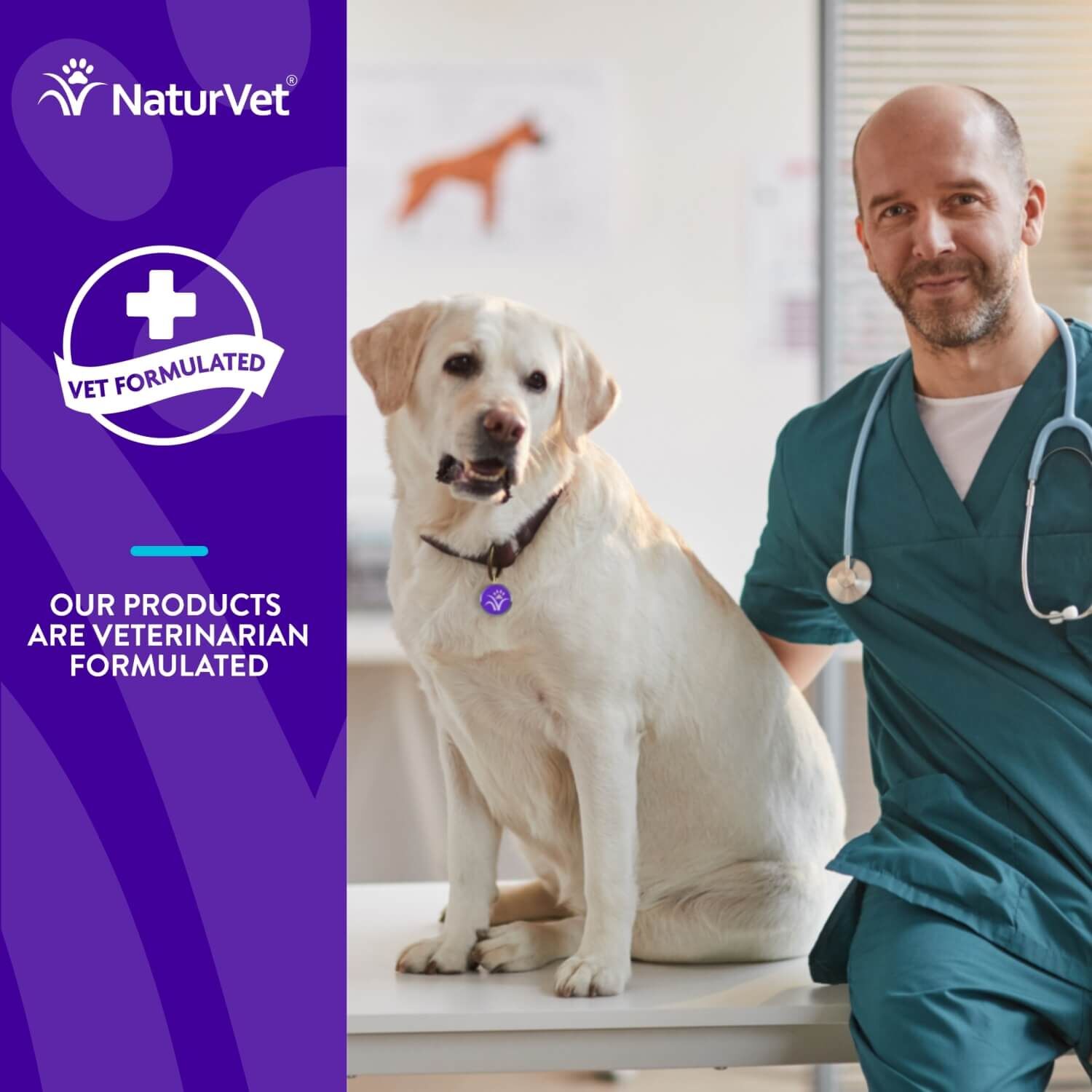 Naturvet Evolutions All-In-One + Superfoods Soft Chew Supplement For Dogs