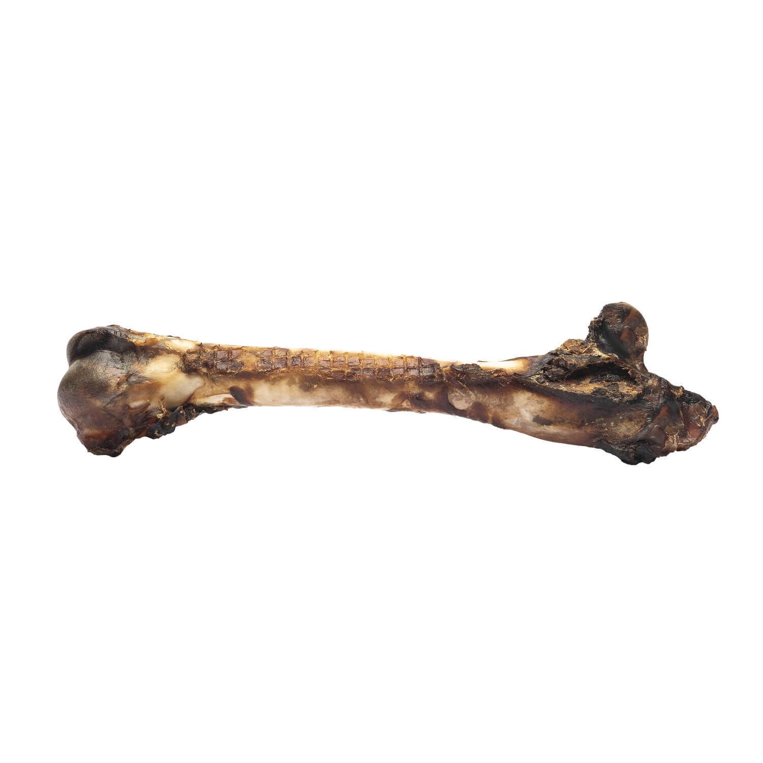 Roam Long Lasting Large Roo Chopper Kangaroo Femur Dog Treat