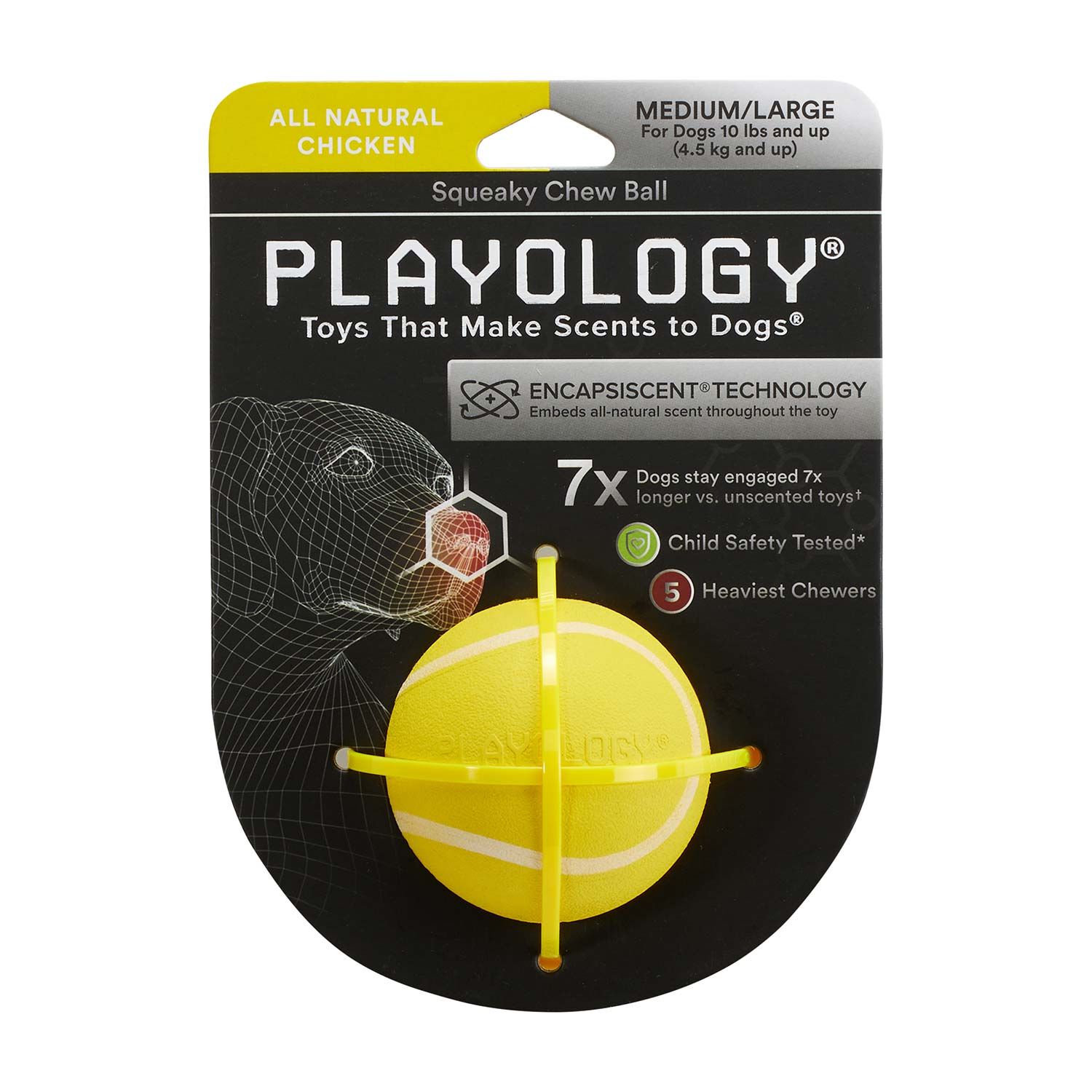 Playology All Natural Chicken Scented Squeaky Chew Ball Dog Toy