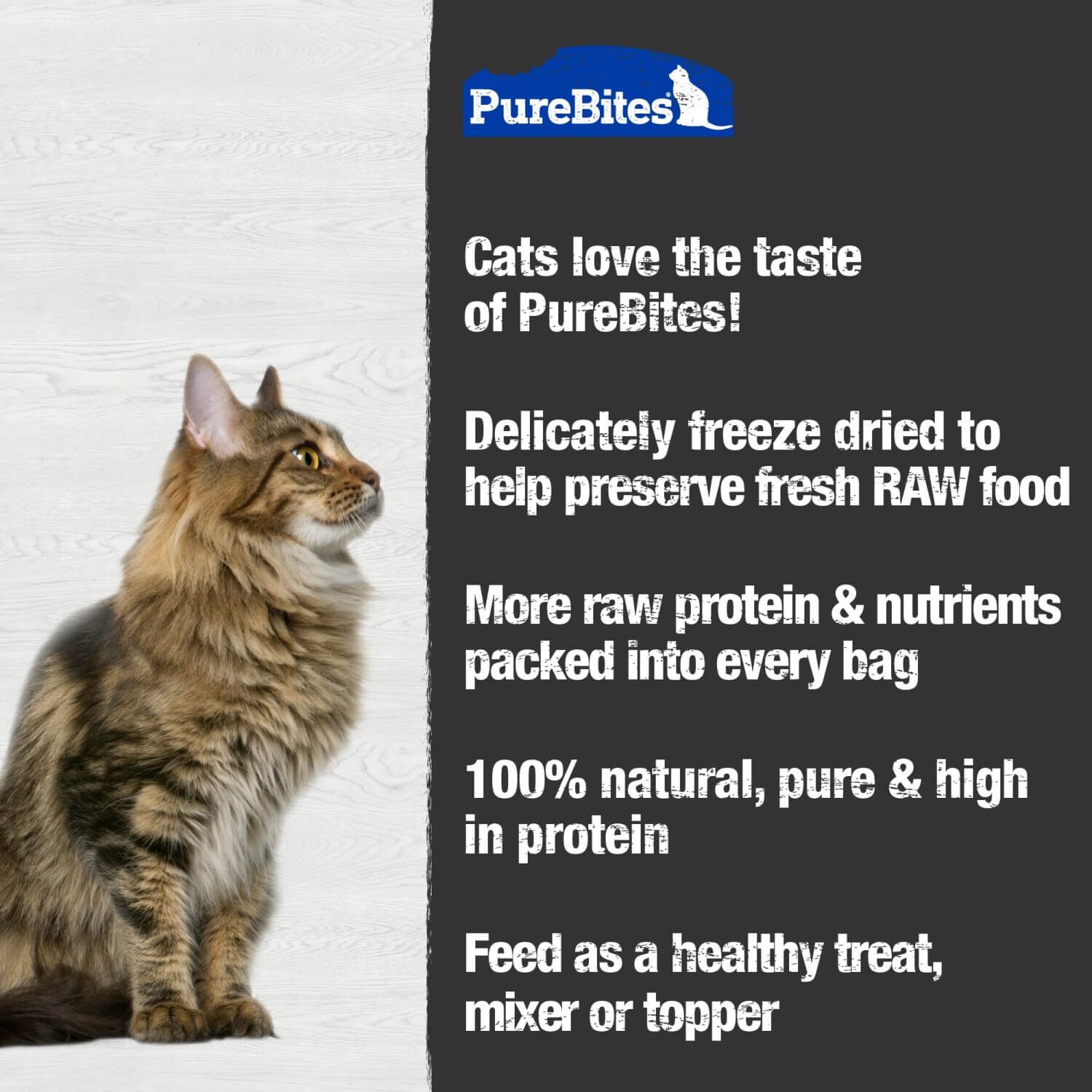 Purebites Freeze Dried Cat Treats, Ocean Medley, .77Oz