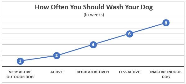 A graph titled 'How Often You Should Wash Your Dog (in weeks)' showing the frequency of dog baths based on activity levels. The x-axis lists activity levels from 'Very Active Outdoor Dog' to 'Inactive Indoor Dog,' and the y-axis indicates the number of weeks between washes. The graph shows that very active outdoor dogs should be washed every week, active dogs every 2 weeks, dogs with regular activity every 4 weeks, less active dogs every 6 weeks, and inactive indoor dogs every 8 weeks.