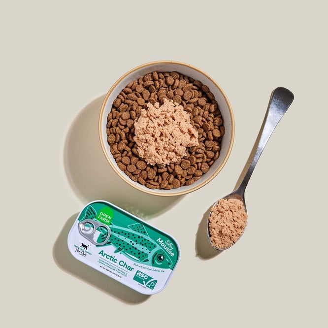 Tin of Icelandic fish topper with bowl of kibble and fish mousse on top with spoon