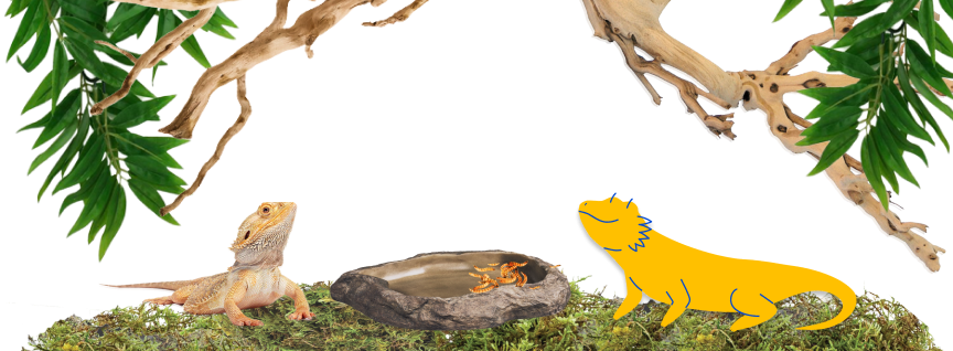 A bearded dragon sits on mossy ground beneath branches and leaves, facing a stone dish filled with live feeder insects. Next to the dish is a yellow cartoon bearded dragon, a Pet Supermarket Peticon, looking up at the branches.