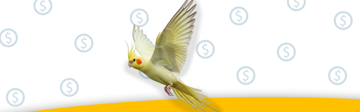 A vibrant yellow bird in flight, on a background with dollar signs