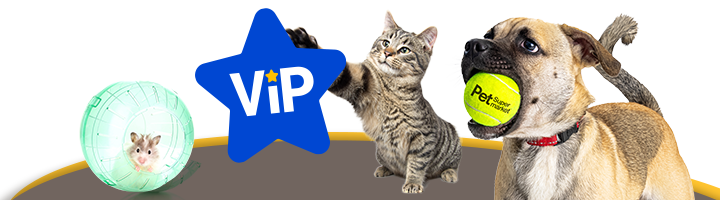 A dog with a tennis ball in its mouth stands in front and a cat bats at the VIP Star lockup next to a hamster in a green ball